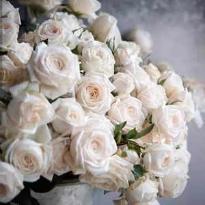 Meet your Posher, Walaa